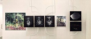 L'images montre 4 photos attachées au mur.