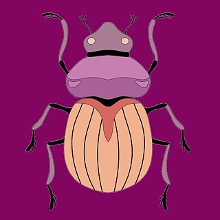 Die Ohnmacht des Käfers