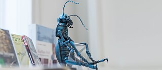 Die Ohnmacht des Käfers