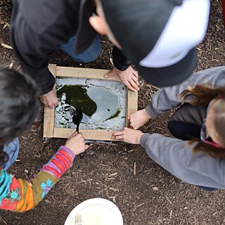 Výrobní proces z rostlinného materiálu