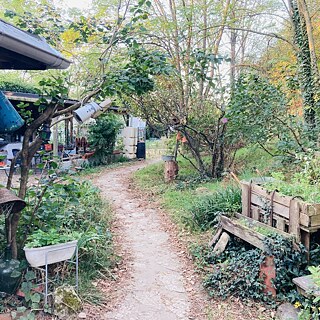 Ein grüner üppig wuchernder Garten mit Gartenhäuschen