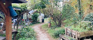 Ein grüner üppig wuchernder Garten mit Gartenhäuschen