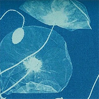 Pflanzenabdruck mit blauem Hintergrund