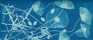 Pflanzenabdruck mit blauem Hintergrund