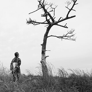 Filmstill aus Grüße aus Fukushima: Eine Frau in traditioneller japanischer Kleidung betrachtet einen verdorrten Baum in ihrem Garten.