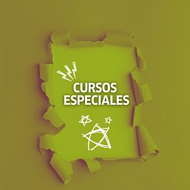 Banner de color verde promocionando los cursos especiales del Goethe-Institut Venezuela