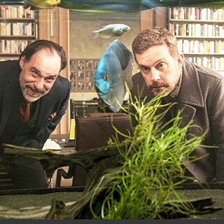 Two men look through an aquarium