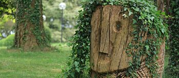 ausschreibung _ Kunst und Spiel _ münchen _ bis 15.02.2026 (quer)