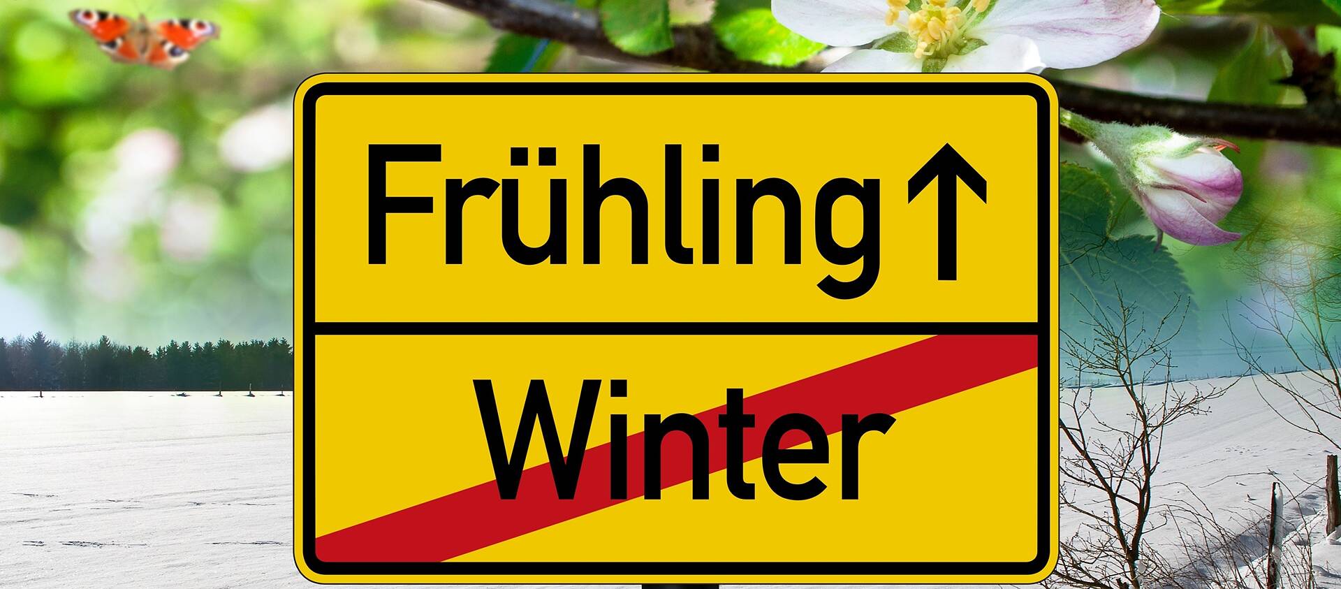 Goethe-Institut Frankreich | Lyon