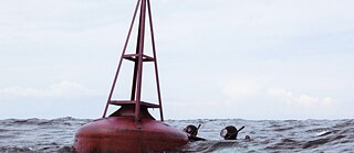 Jenseits der blauen Grenze (hz)