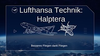 LH 1