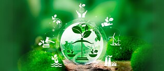 Icons portraying the multiple aspects of environmental law. In the background themes of a forest.