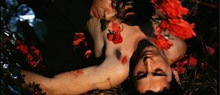 Ein junger Mann mit bloßem Oberkörper liegt auf dem Boden im Gras, um ihn herum rote Rosen. Ein anderer Mann liegt mit seinem Kopf auf seiner Brust mit geschlossenen Augen.
