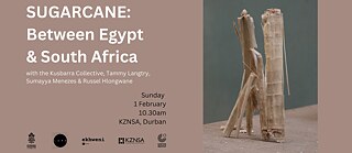 An image of dried Coriander lying plant pieces on a table.