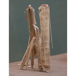 An image of dried Coriander lying plant pieces on a table.