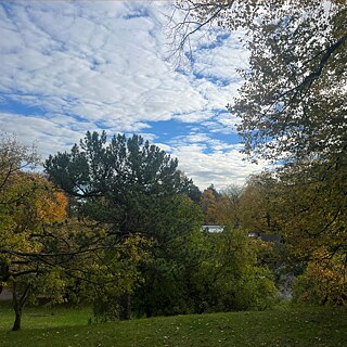 Blick vom Garten in Ekely