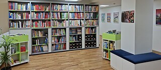 Bücher im Bücherregal