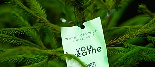 «Могут ли животные выжить в схватке с человеком?»