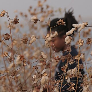 Profil Foto von Camille Bertrand