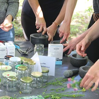 On a planting table, several empty jars are lined up. Next to them, you can see several pairs of hands crushing herbs with a mortar and pestle.