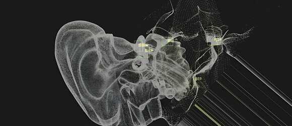 Listening to the Lost Organ: Tuning to the Present