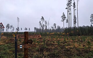 Na cestě do přírodní rezervace Valgesoo. Mozaika pasečného hospodaření utváří scenérii podél cest napříč Estonskem (včetně těch turistických).