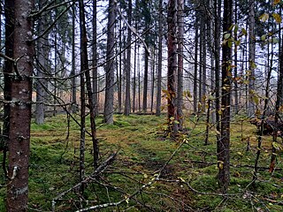 Estonská přírodní rezervace Endla.