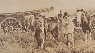 „Bosque arriba en la montaña“, Argentina, 2026. Director: Sofía Bordenave | Berlinale Forum, 2026