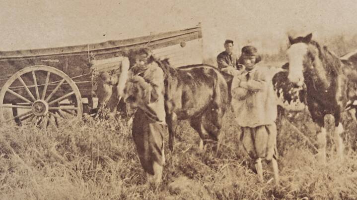 „Bosque arriba en la montaña“, Argentina, 2026. Director: Sofía Bordenave | Berlinale Forum, 2026