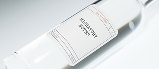 Migratory Notes: New York City Edition