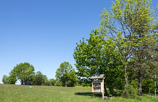 Insect hotel below the Schönberg Tower, on the Schönberg Meadow