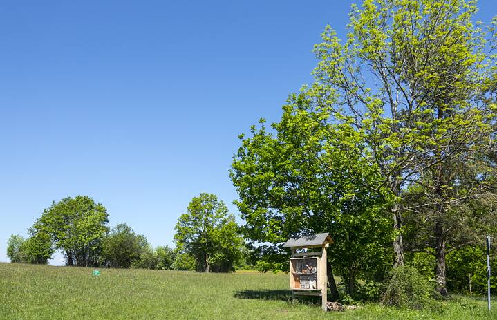Insect hotel below the Schönberg Tower, on the Schönberg Meadow