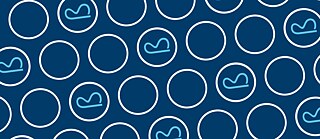 Hexágonos contornados em branco, alguns com um ß deitado no meio, sobre fundo azul escuro