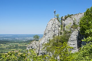 The Wackerstein viewpoint