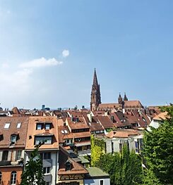 鳳新高中－莊立宇