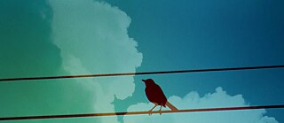 Amigos 2025 - Literatur Heute - Teaser hz