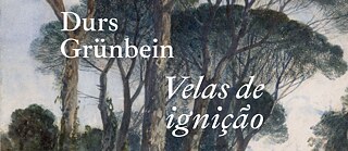 Buchcover Velas de Ignição