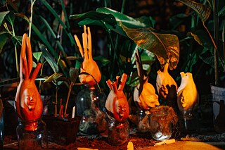 Овочі наших думок