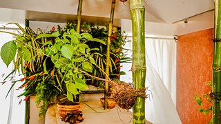 Chord Notes MatriAér Lab 2