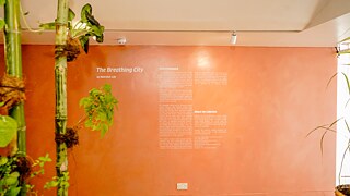 Chord Notes MatriAér Lab 1