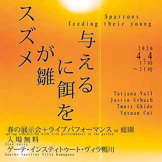 Sparrows feeding their young, Foto: Justin Urbach