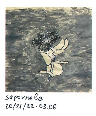 Sapovnela &copy; Goethe-Institut Georgien Sapovnela