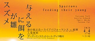 Sparrows feeding their young, Foto: Justin Urbach