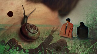 Courtisane - notes on cinema 