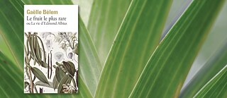 Book cover of the novel "Le fruit le plus rare ou La vie d’Edmond Albius" by Gaëlle Bélem on a background of green leaves