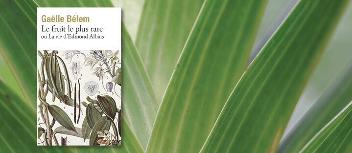 Book cover of the novel "Le fruit le plus rare ou La vie d’Edmond Albius" by Gaëlle Bélem on a background of green leaves