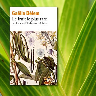 Book cover of the novel "Le fruit le plus rare ou La vie d’Edmond Albius" by Gaëlle Bélem on a background of green leaves
