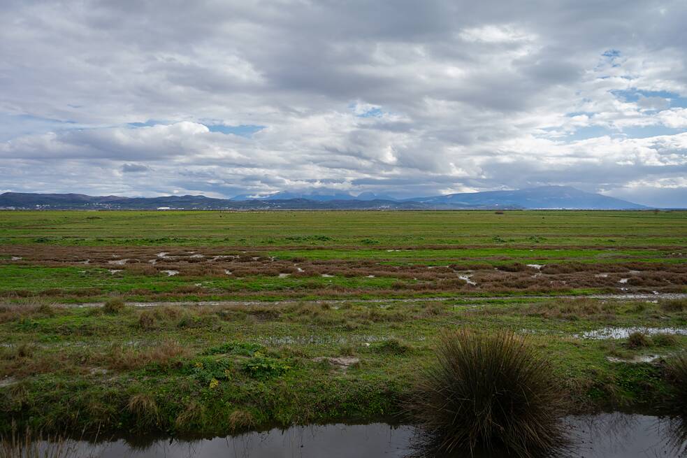 Die Landschaft im Naturschutzgebiet