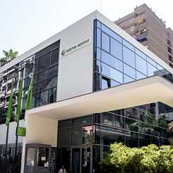 Palmenhof_Foto Goethe-Institut - Roger Anis