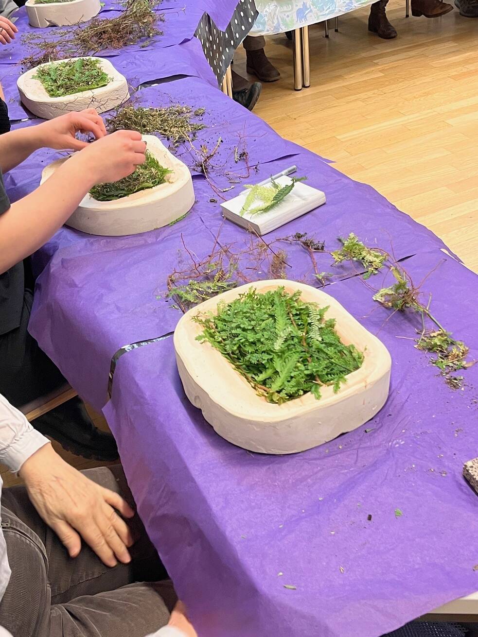 Preparing biodesign object